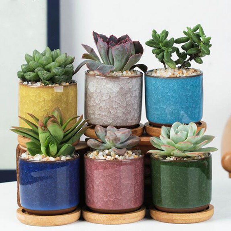 Echeveria Succulent - 6 stks/set Keramische Bloempot Set Mini