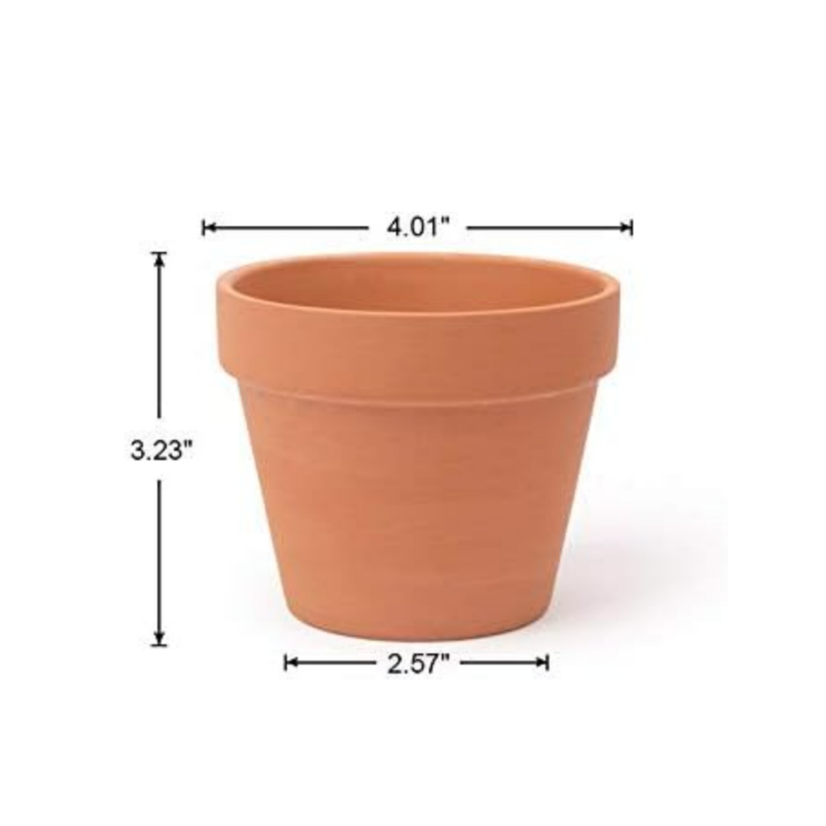 6 stks 4 inch Terracotta Potte - Echeveria Succulent recensie en prijs