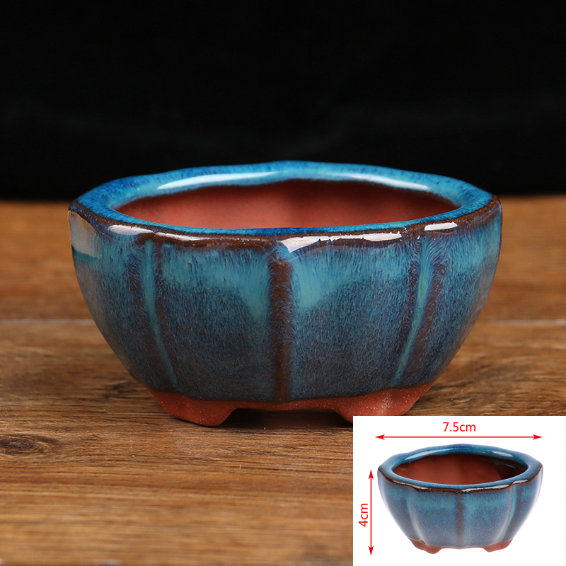 1 Stuks Bonsai Mini Keramische - Echeveria Succulent recensie en prijs