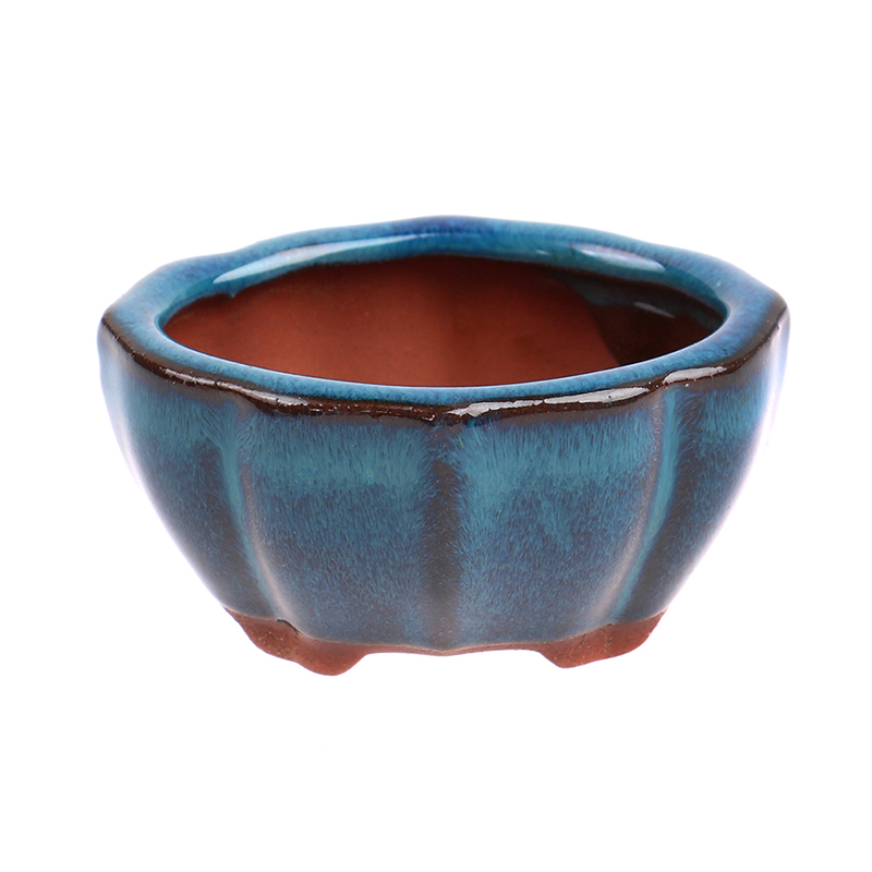 1 Stuks Bonsai Mini Keramische - Echeveria Succulent recensie en prijs