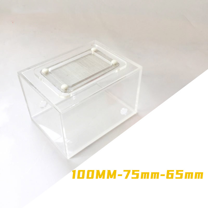 Acryl Afgewerkt Naadloze Mier  - Begonia Rex recensie en prijs