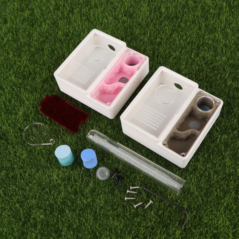 1 Stuks Ant Farm Queen Ant's N - Begonia Rex recensie en prijs
