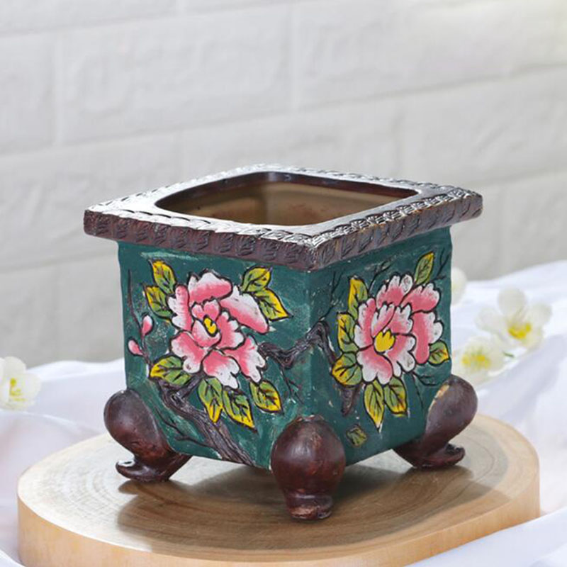Koreaanse stijl handbeschilder - Echeveria Succulent recensie en prijs