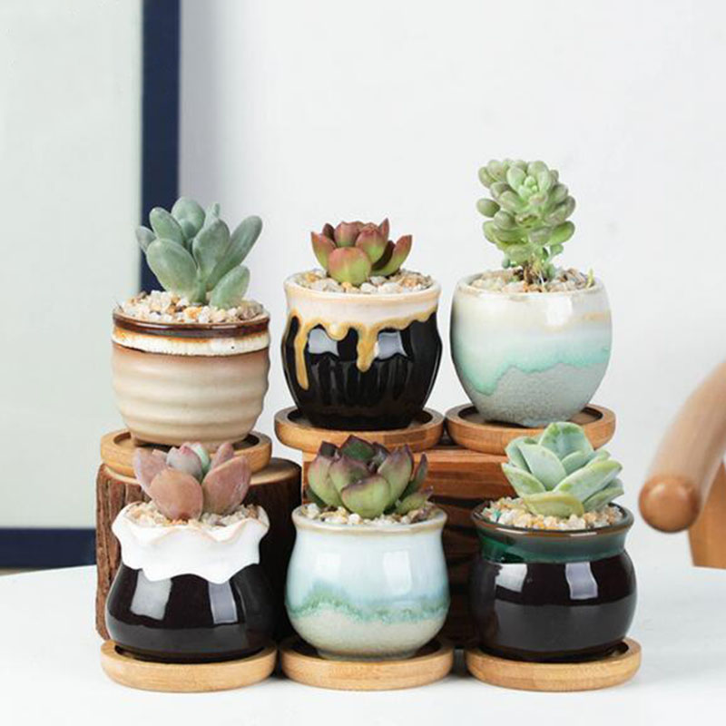 6 stks/set Keramische Bloempot - Echeveria Succulent recensie en prijs
