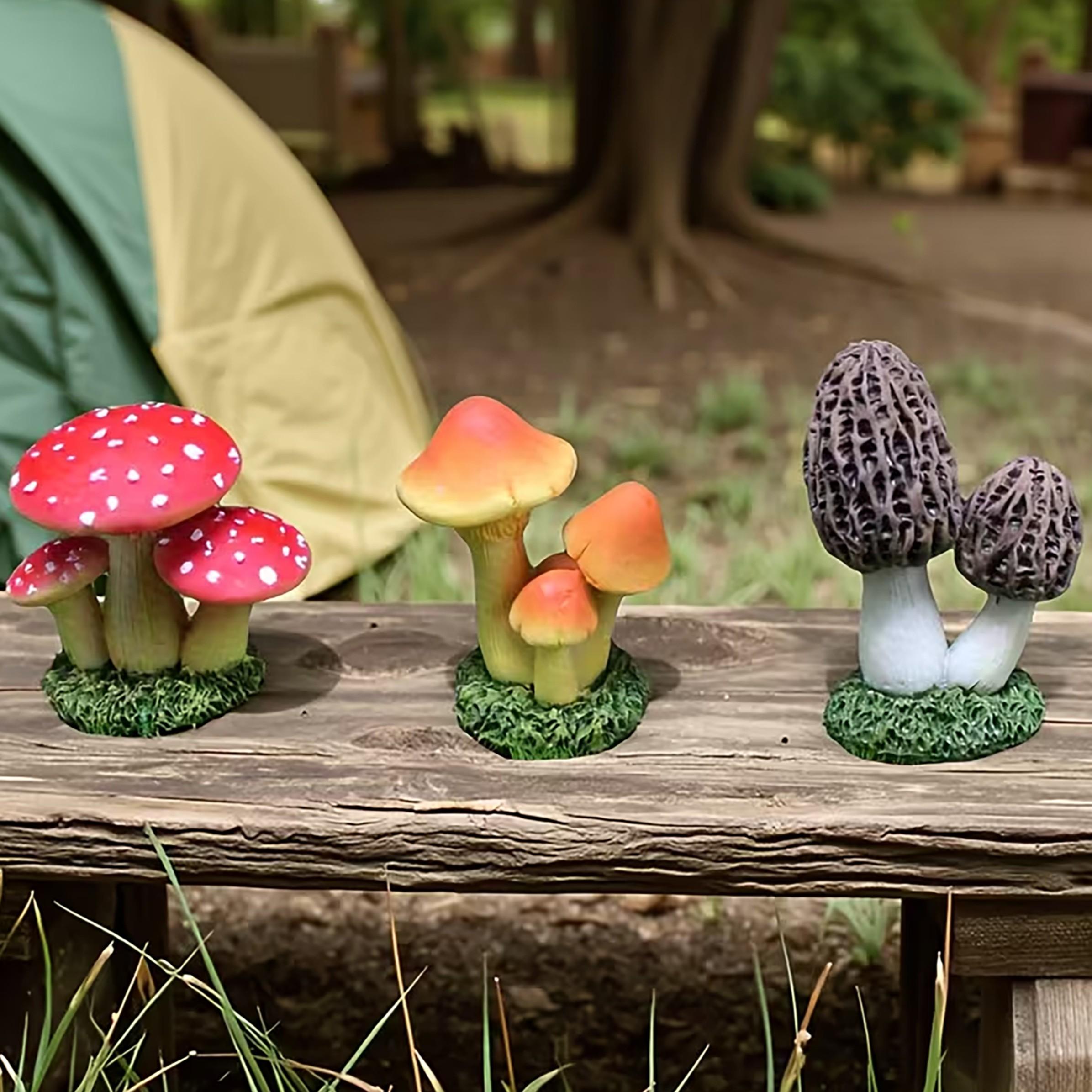 1 set van 3 stuks kunstmatige  - Echeveria Succulent recensie en prijs