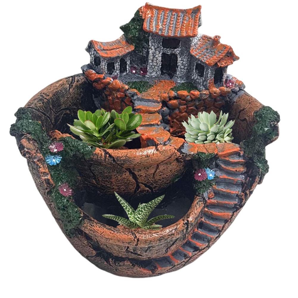 Succulent Pot Vintage Multi Po - Echeveria Succulent recensie en prijs