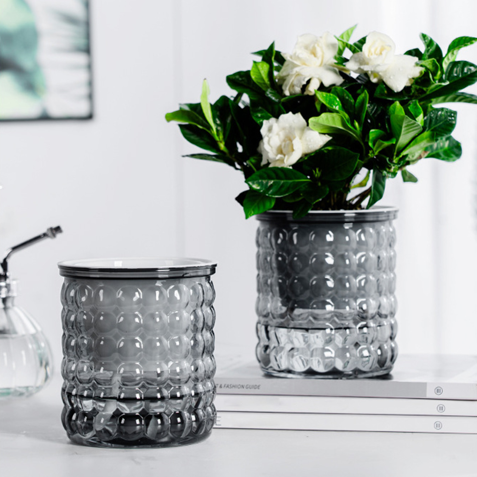 Nieuwe Zelf Watering Hydrocult - Echeveria Succulent recensie en prijs