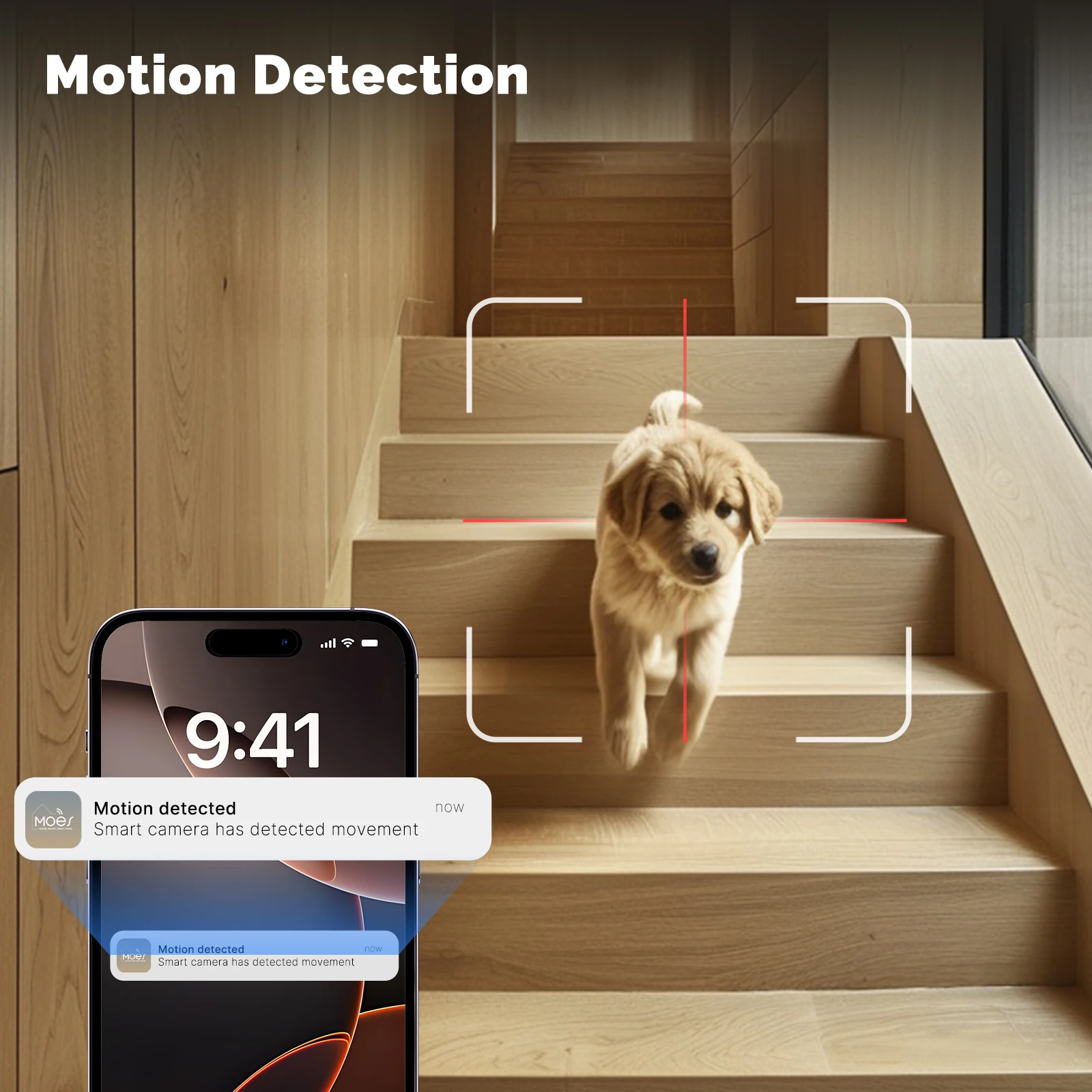 Moes Tuya WiFi Indoor Smart Ca - Eufy Camera E220 recensie en prijs